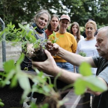 INSEL Kulturgarten Erdfest 2023_2